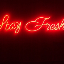Stay fresh, Unbreakable Neon Sign Night Light, Frameless