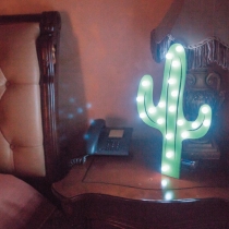 Cactus Wall Lamp, Night Lamp