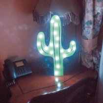 Cactus Wall Lamp, Night Lamp