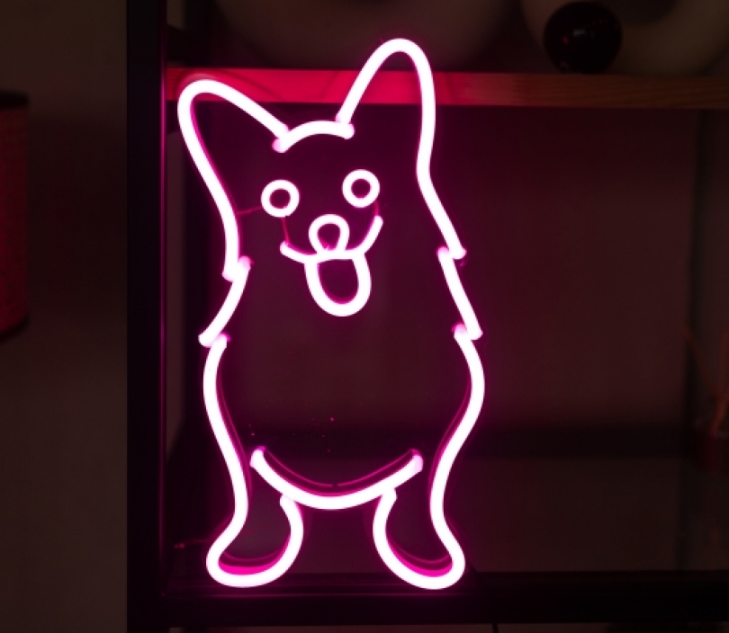 Neon Сorgi, Dog Neon Sign, Unbreakable Neon Sign, Neon Nightlight, Beautiful Gift